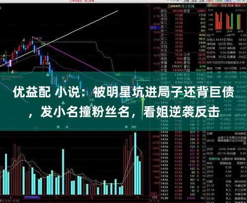 优益配 小说：被明星坑进局子还背巨债，发小名撞粉丝名，看姐逆袭反击