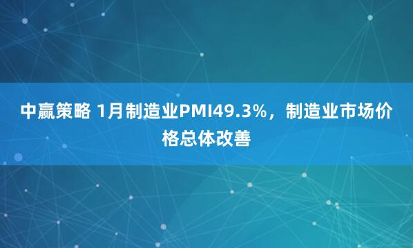 中赢策略 1月制造业PMI49.3%，制造业市场价格总体改善