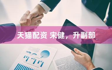 天猫配资 宋健，升副部