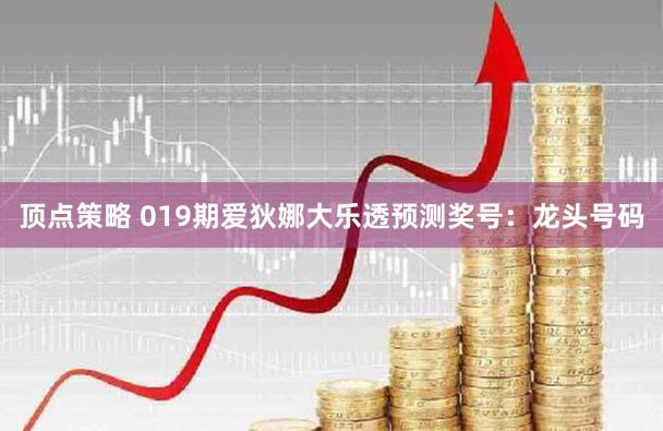 顶点策略 019期爱狄娜大乐透预测奖号：龙头号码