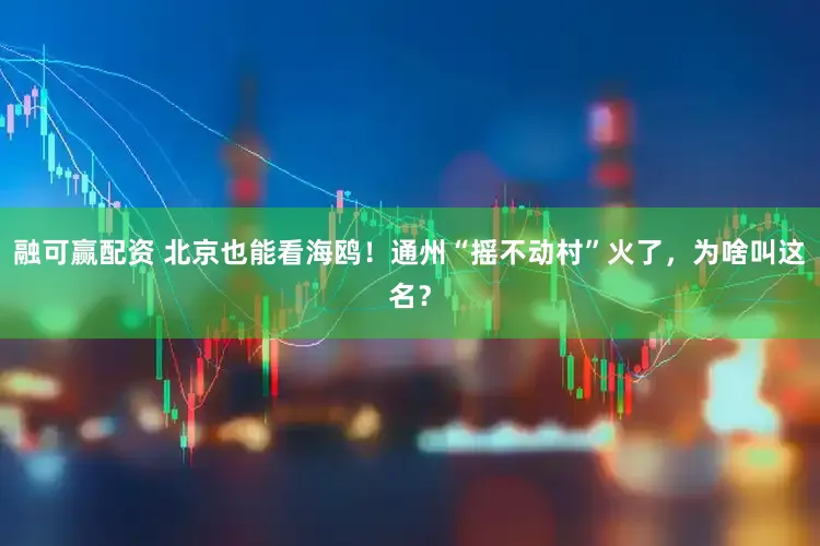 融可赢配资 北京也能看海鸥！通州“摇不动村”火了，为啥叫这名？