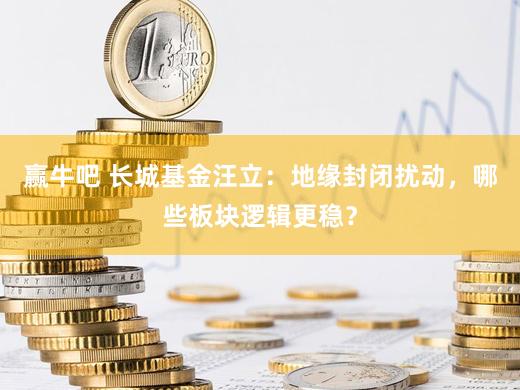 赢牛吧 长城基金汪立：地缘封闭扰动，哪些板块逻辑更稳？