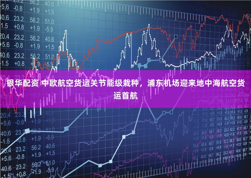 银华配资 中欧航空货运关节能级栽种，浦东机场迎来地中海航空货运首航