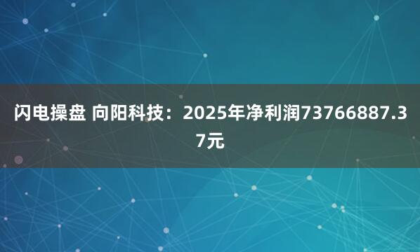 闪电操盘 向阳科技：2025年净利润73766887.37元