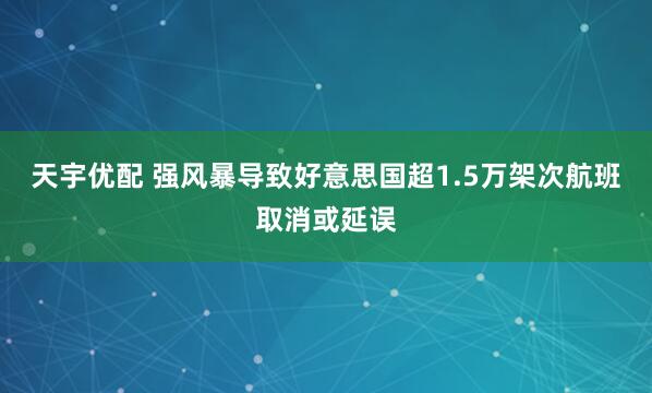 天宇优配 强风暴导致好意思国超1.5万架次航班取消或延误