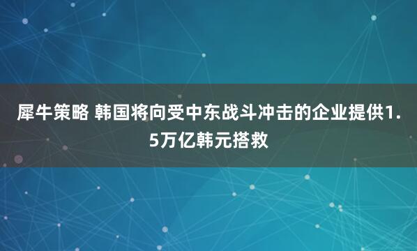 犀牛策略 韩国将向受中东战斗冲击的企业提供1.5万亿韩元搭救