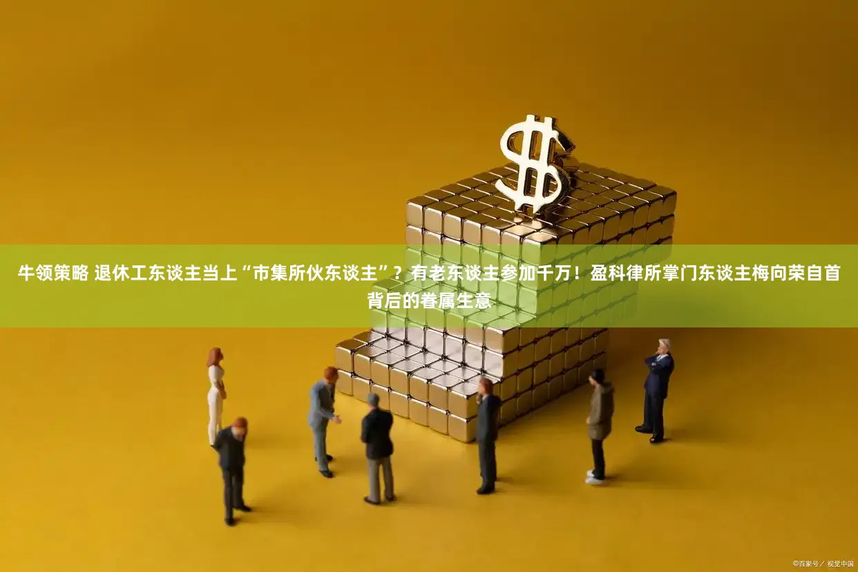 牛领策略 退休工东谈主当上“市集所伙东谈主”？有老东谈主参加千万！盈科律所掌门东谈主梅向荣自首背后的眷属生意