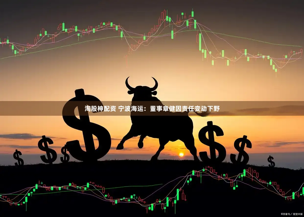 淘股神配资 宁波海运：董事章健因责任变动下野
