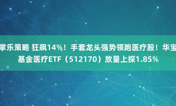 掌乐策略 狂飙14%！手套龙头强势领跑医疗股！华宝基金医疗ETF（512170）放量上探1.85%