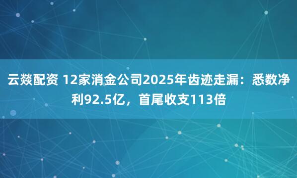 云燚配资 12家消金公司2025年齿迹走漏：悉数净利92.5亿，首尾收支113倍