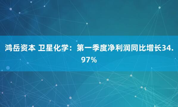 鸿岳资本 卫星化学：第一季度净利润同比增长34.97%