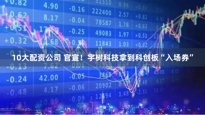 10大配资公司 官宣！宇树科技拿到科创板“入场券”